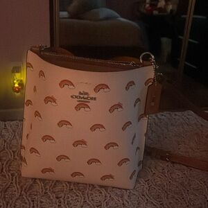 Rainbow coach bag